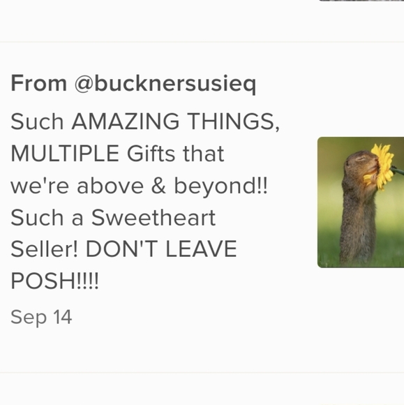 Low on Cash??? - Picture 2 of 15